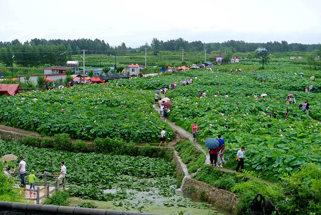DSC_8159副本.jpg