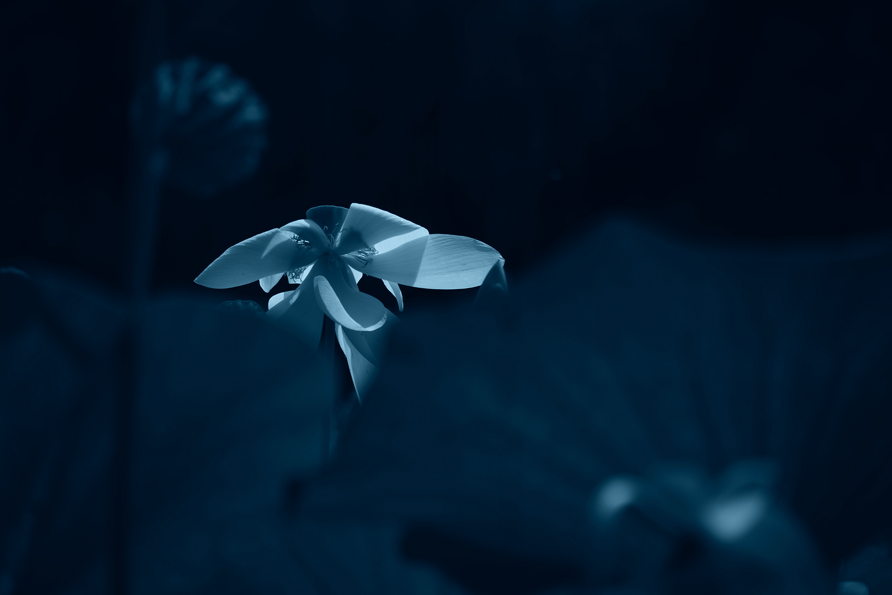 DSC_4052.JPG