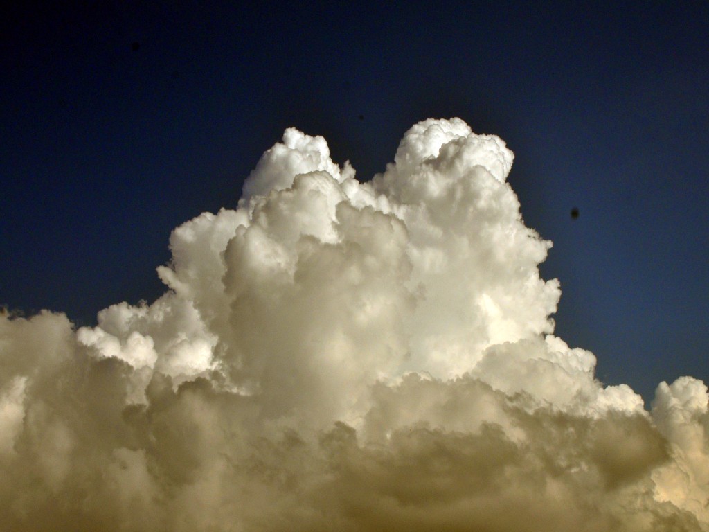 DSC_0114_conew1.jpg