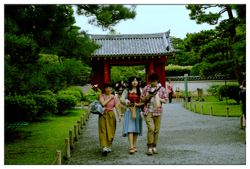 dsc00726_副本.jpg