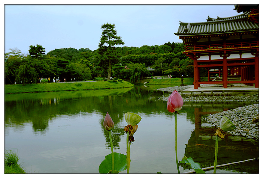 dsc00731_副本.jpg