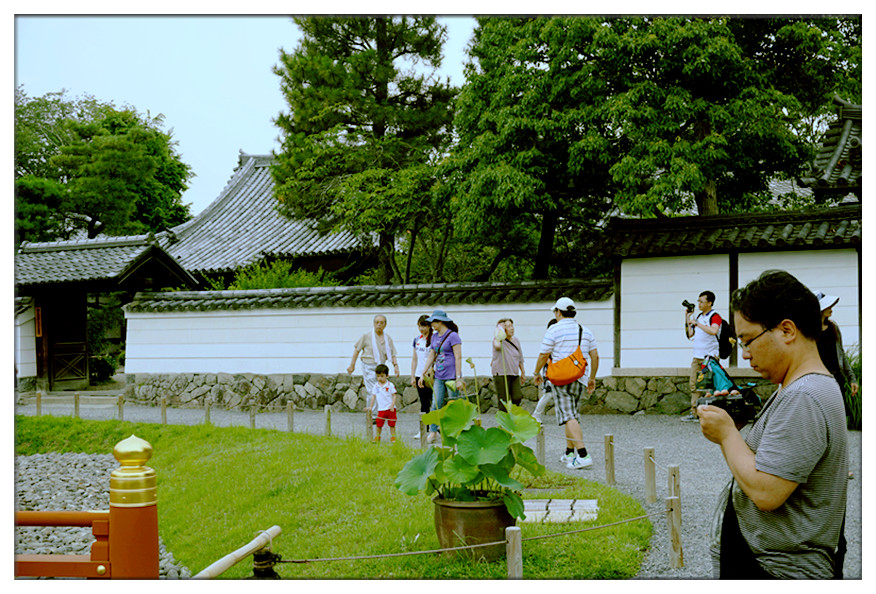 dsc00732_副本.jpg