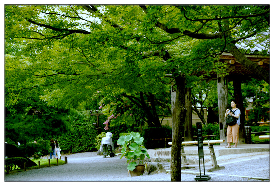 dsc00759_副本.jpg