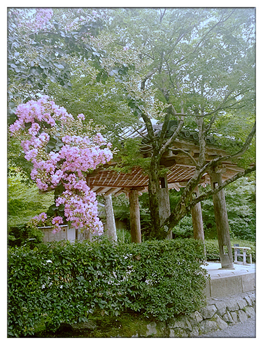 20170723_162531_副本.jpg