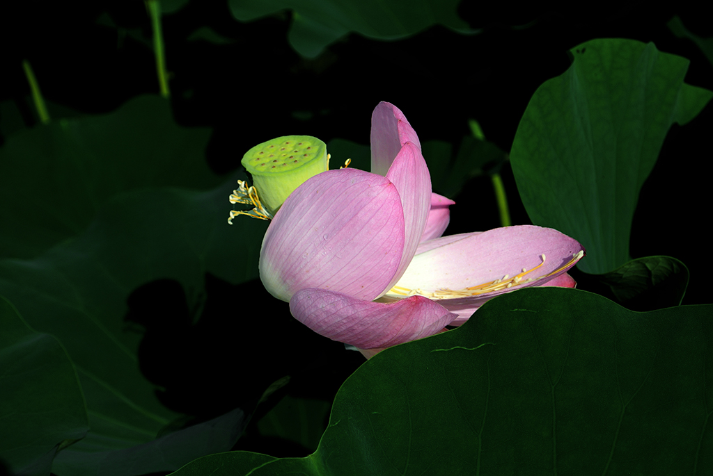 DSC_1113副本.jpg