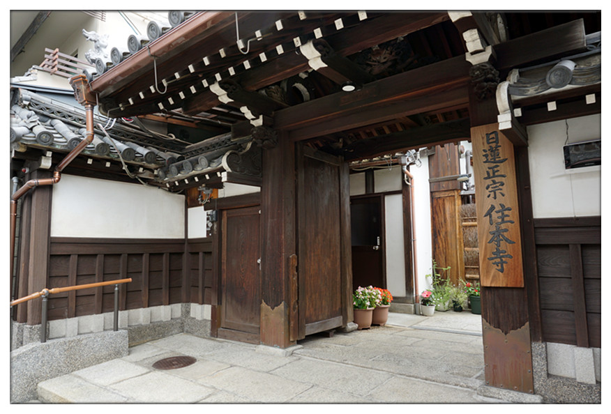 dsc00653_副本.jpg
