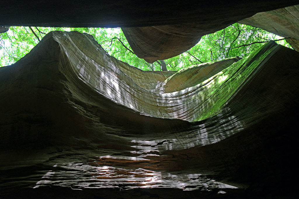 DSC_8945.JPG