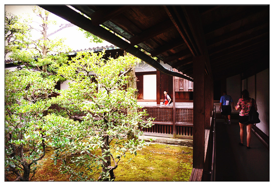 dsc00806_副本.jpg