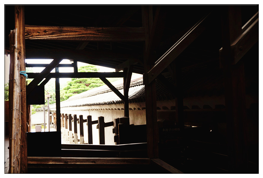 dsc00811_副本.jpg