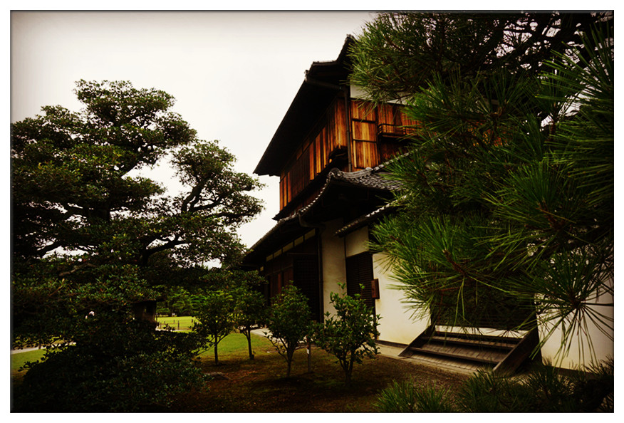 dsc00825_副本.jpg
