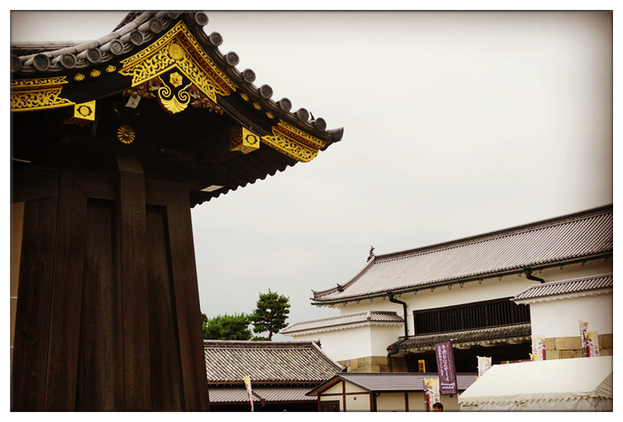 dsc00858_副本.jpg