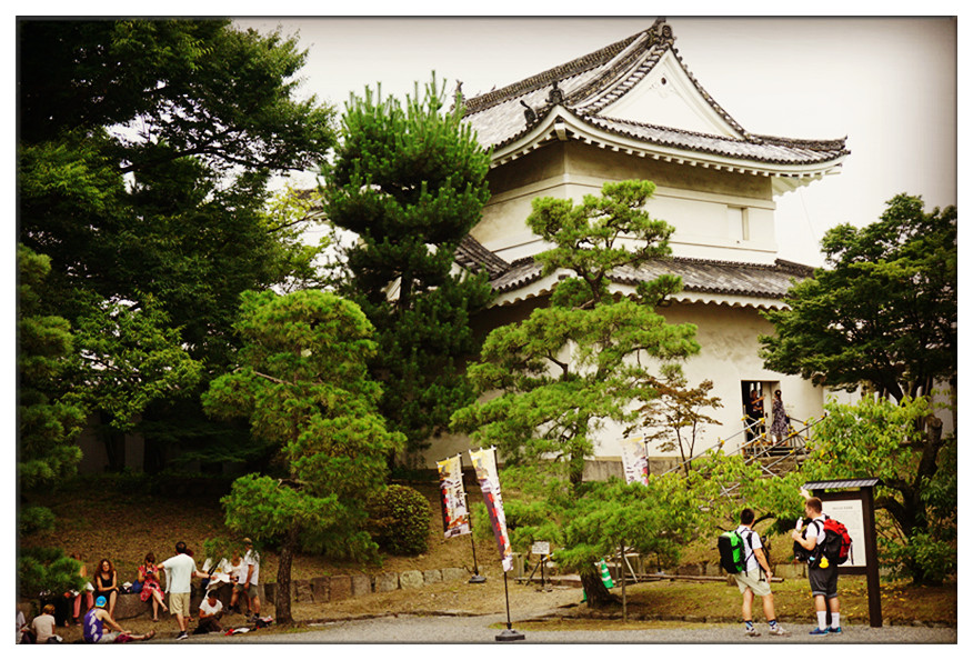 dsc00859_副本.jpg