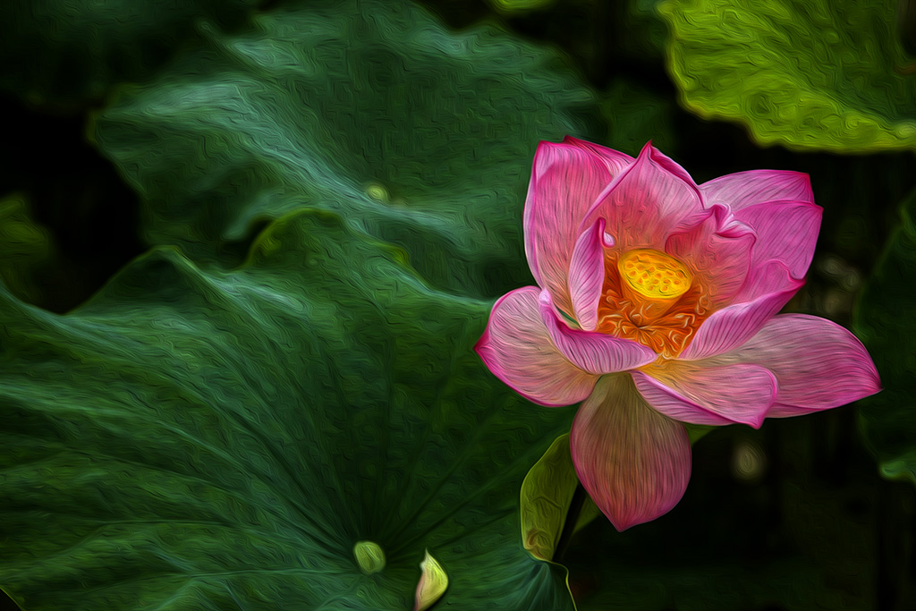 DSC_8223副本.jpg
