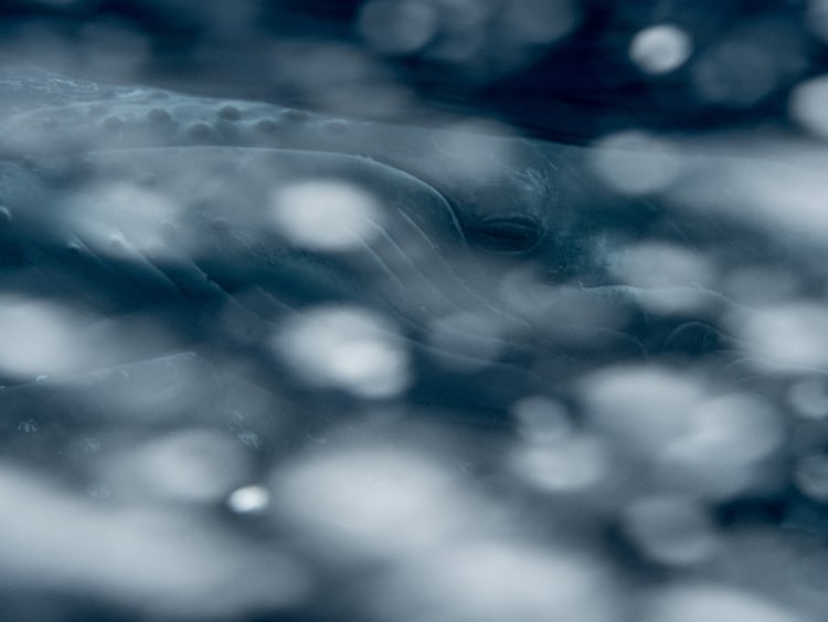 b517fc8242fc337890a8a69a828de311.jpg