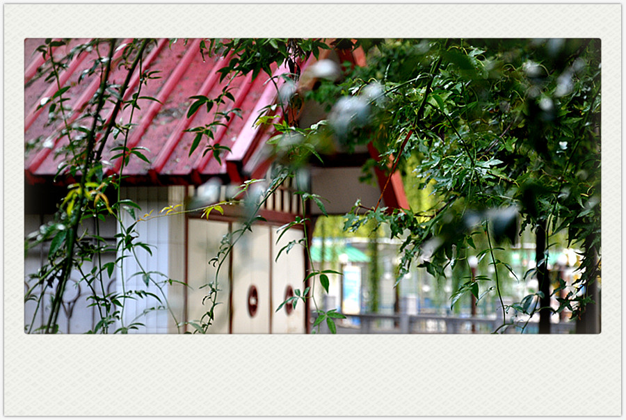 dsc_0392_副本.jpg
