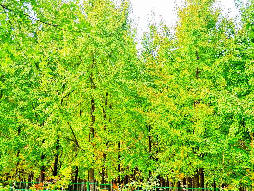 DSC_0080_conew1.jpg