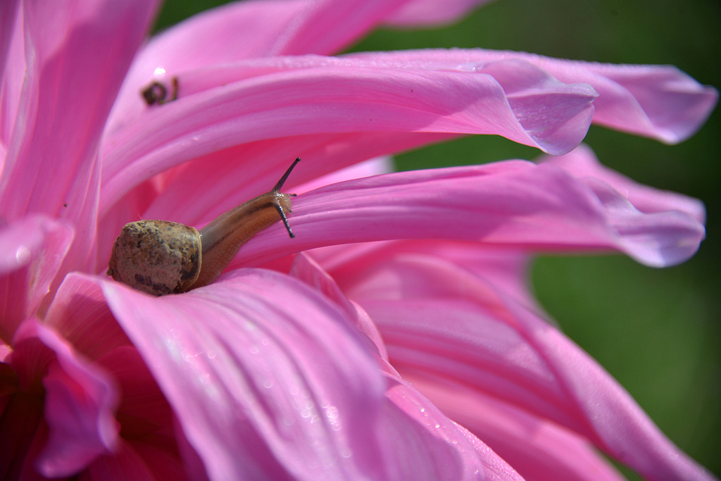 DSC_0473.JPG