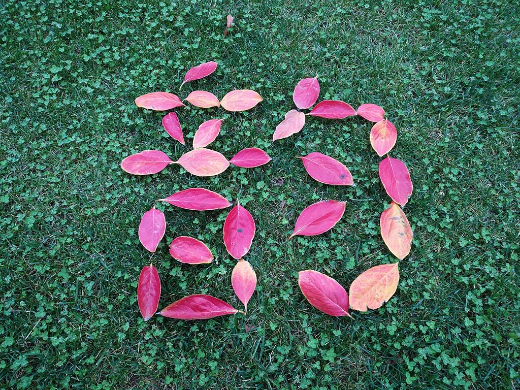 IMG_20171101_162021副本.jpg