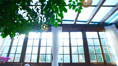 60024054a83656973a037bbafb0dfbe8.gif
