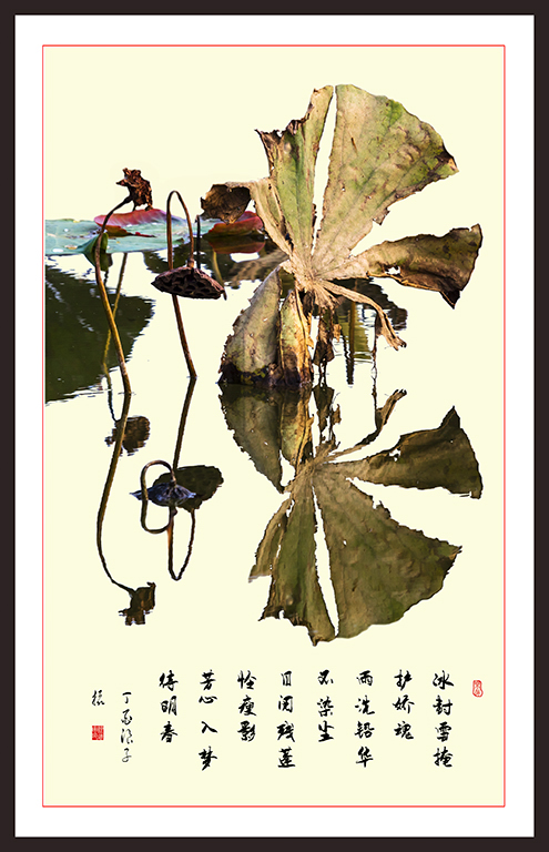 LIU_7628副本3副本.jpg