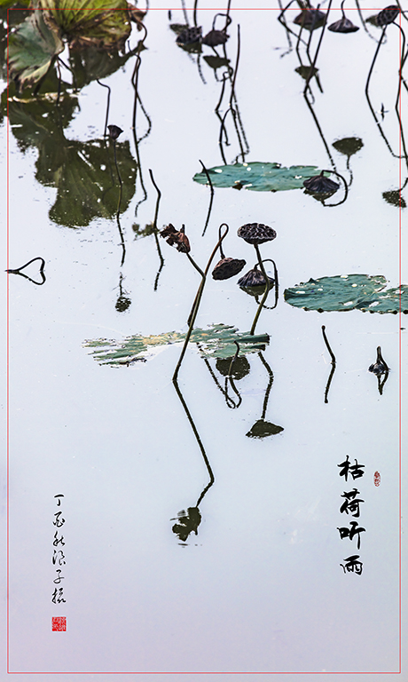 LIU_7709副本副本.jpg