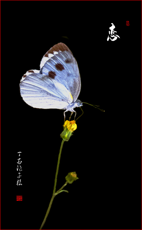 LIU_7847副本2副本.jpg
