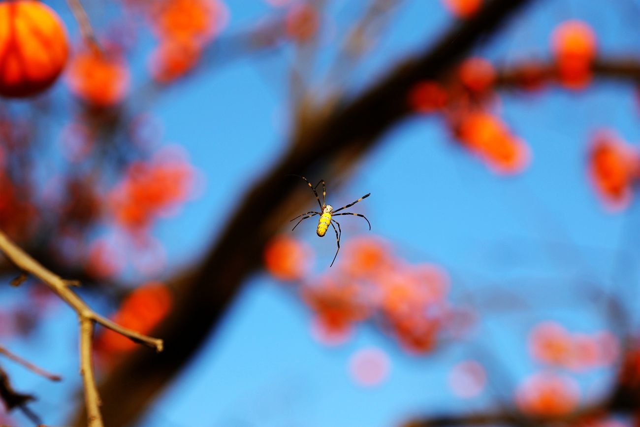 IMG_6898_副本.jpg