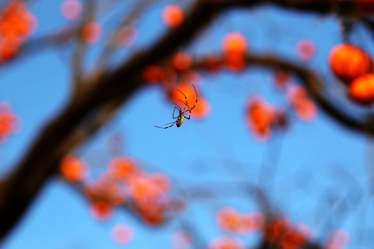 IMG_6900_副本.jpg