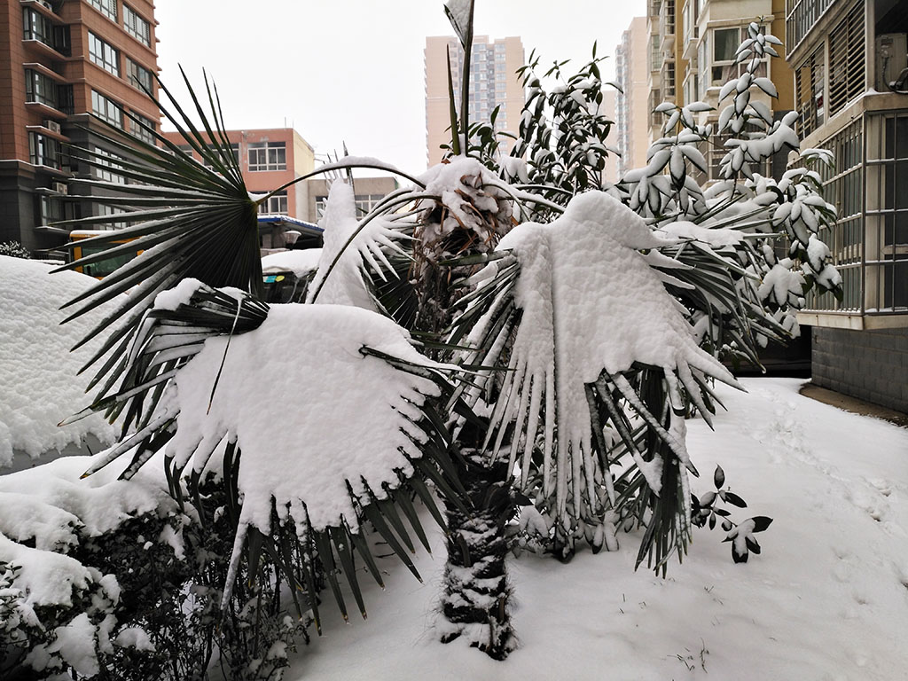 IMG_20180104_092723副本.jpg