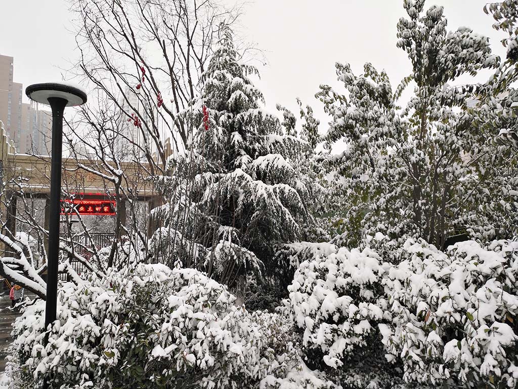 IMG_20180104_100654副本.jpg