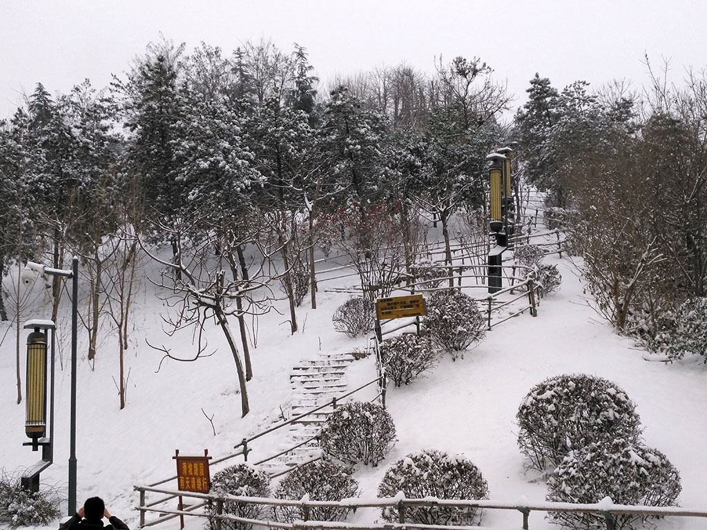 IMG_20180104_140534副本.jpg