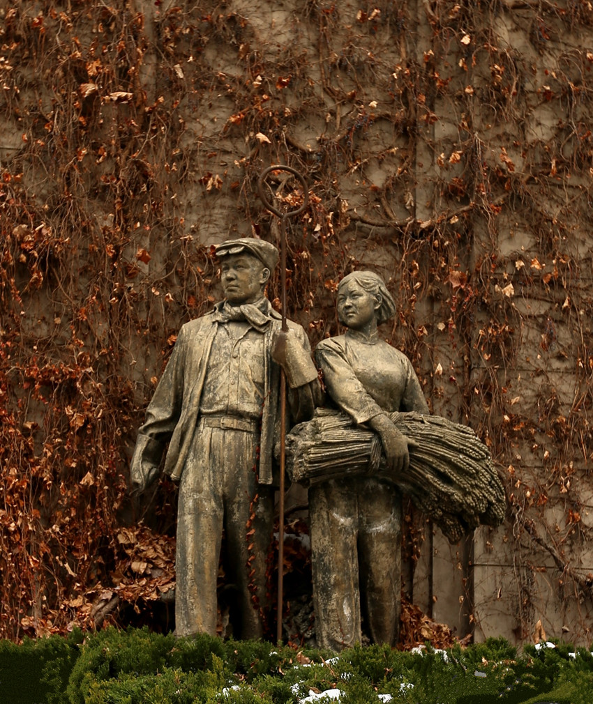 C24T7210_conew1_副本.jpg