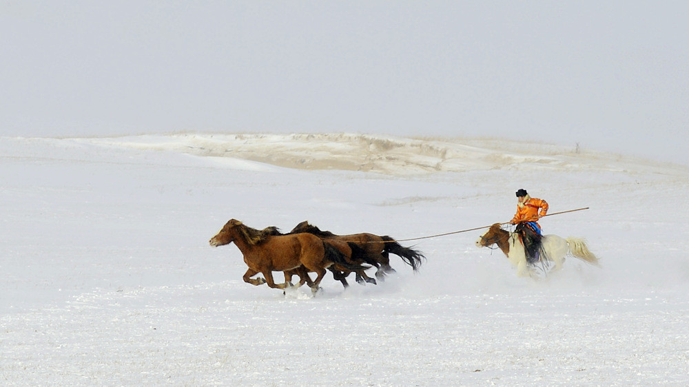 D4A_2212.jpg