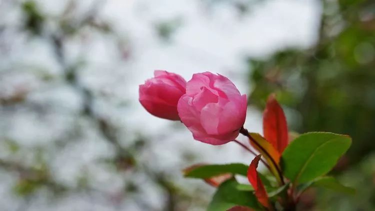 27bb8e785b22a61026f74e08d179a784.jpg