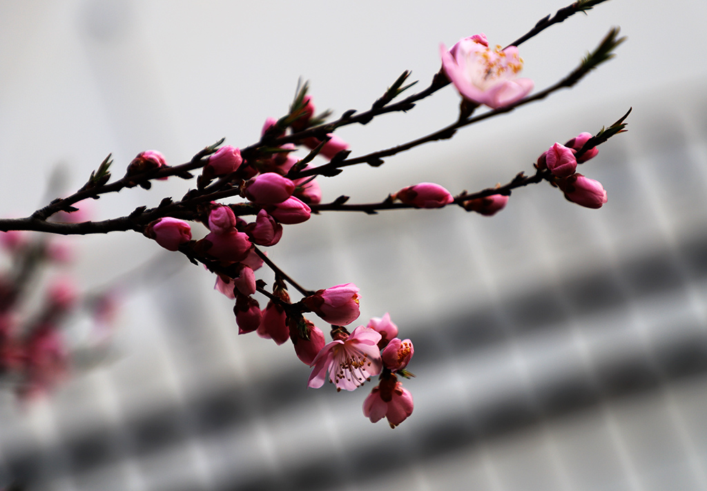 IMG_5279副本.jpg