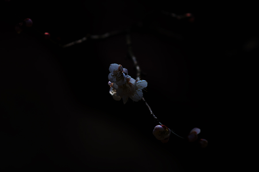 IG_9273.jpg