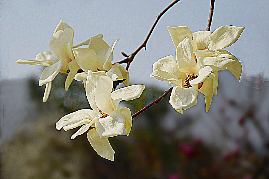 nEO_IMG_DSC_7875.jpg