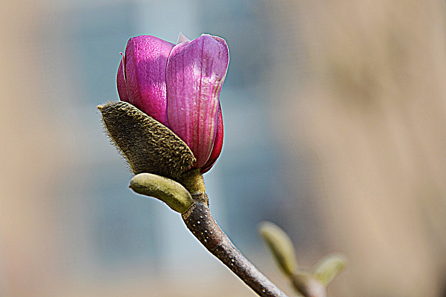 nEO_IMG_DSC_7835.jpg