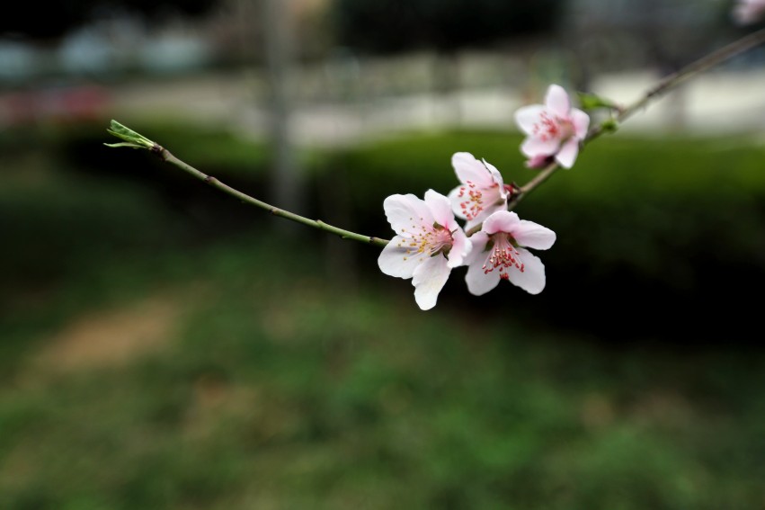 C24T7665_conew2.jpg