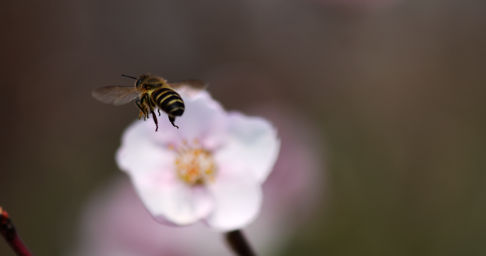 DSC_4727_副本.jpg