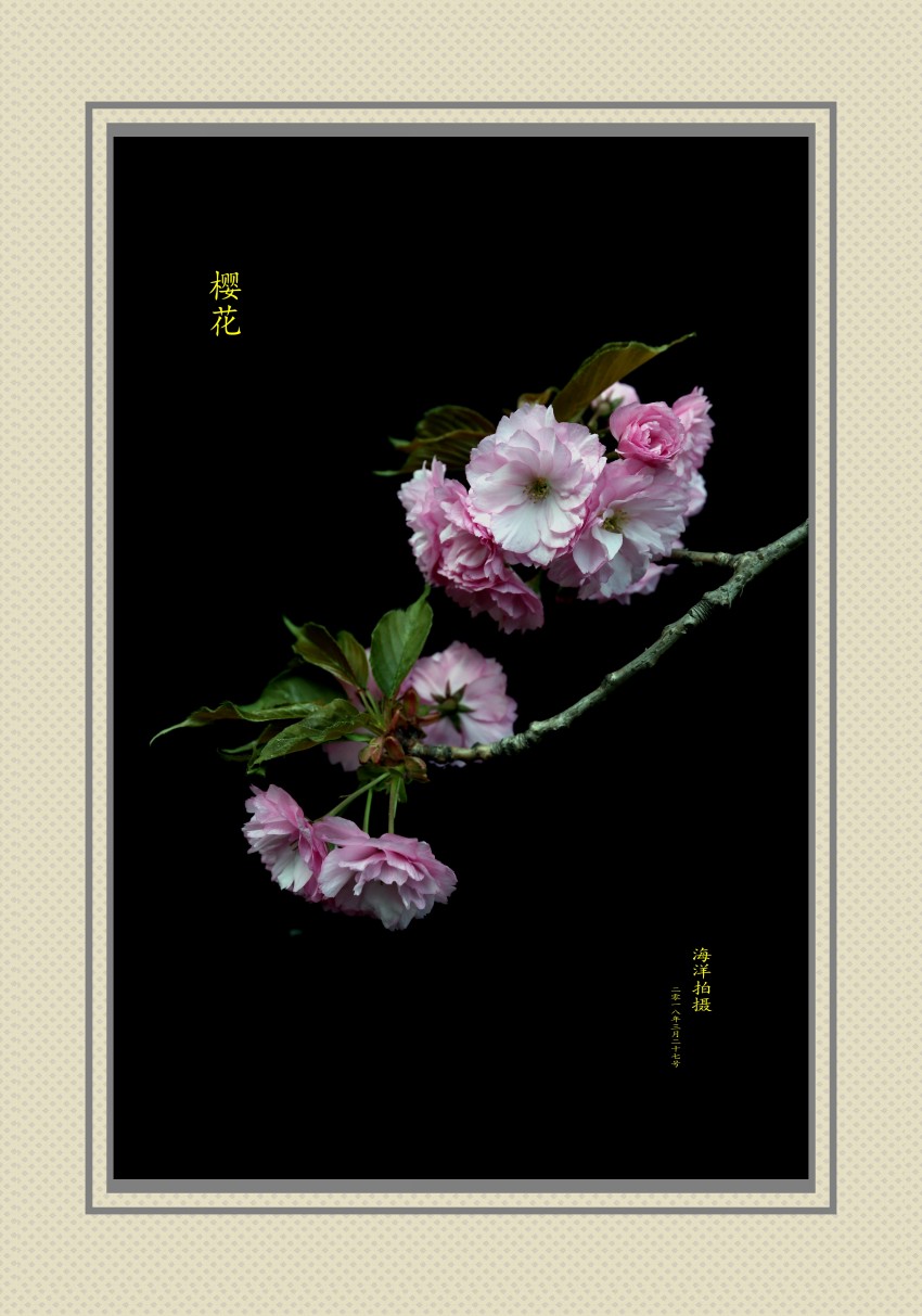C24T7746_conew4.jpg