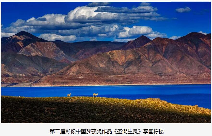 QQ截图20180422152052.jpg