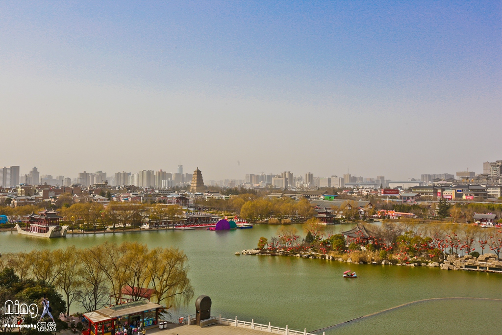 WCY_9207.jpg
