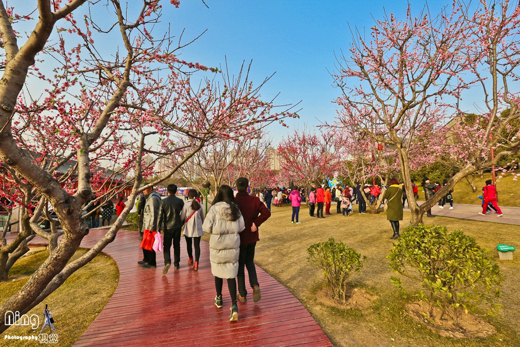 WCY_9343.jpg