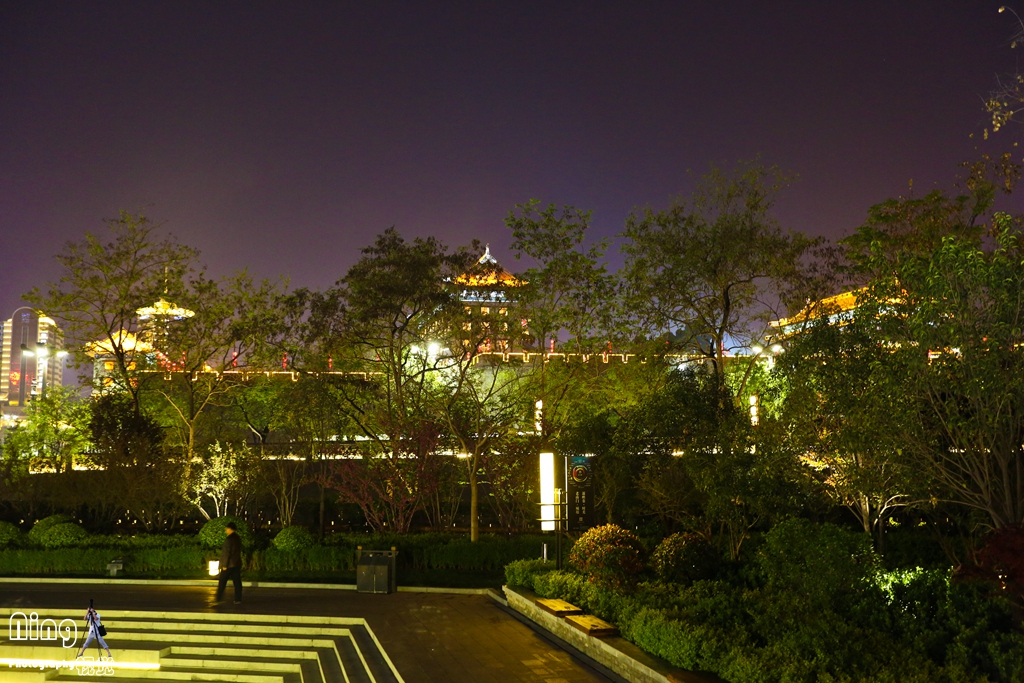WCY_3445.jpg