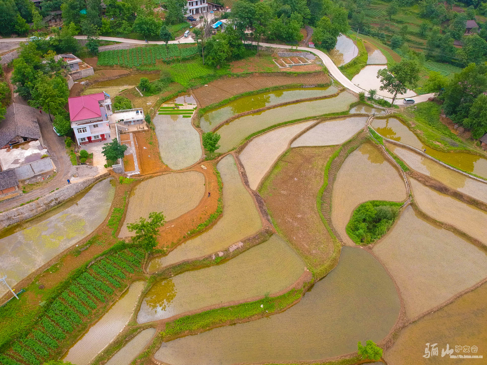 DJI_0354.jpg