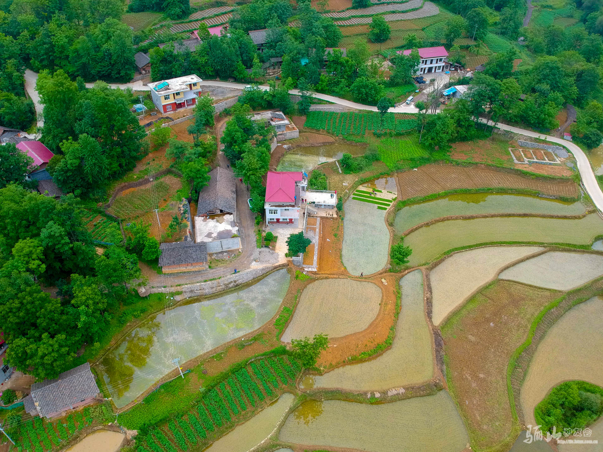 DJI_0357.jpg