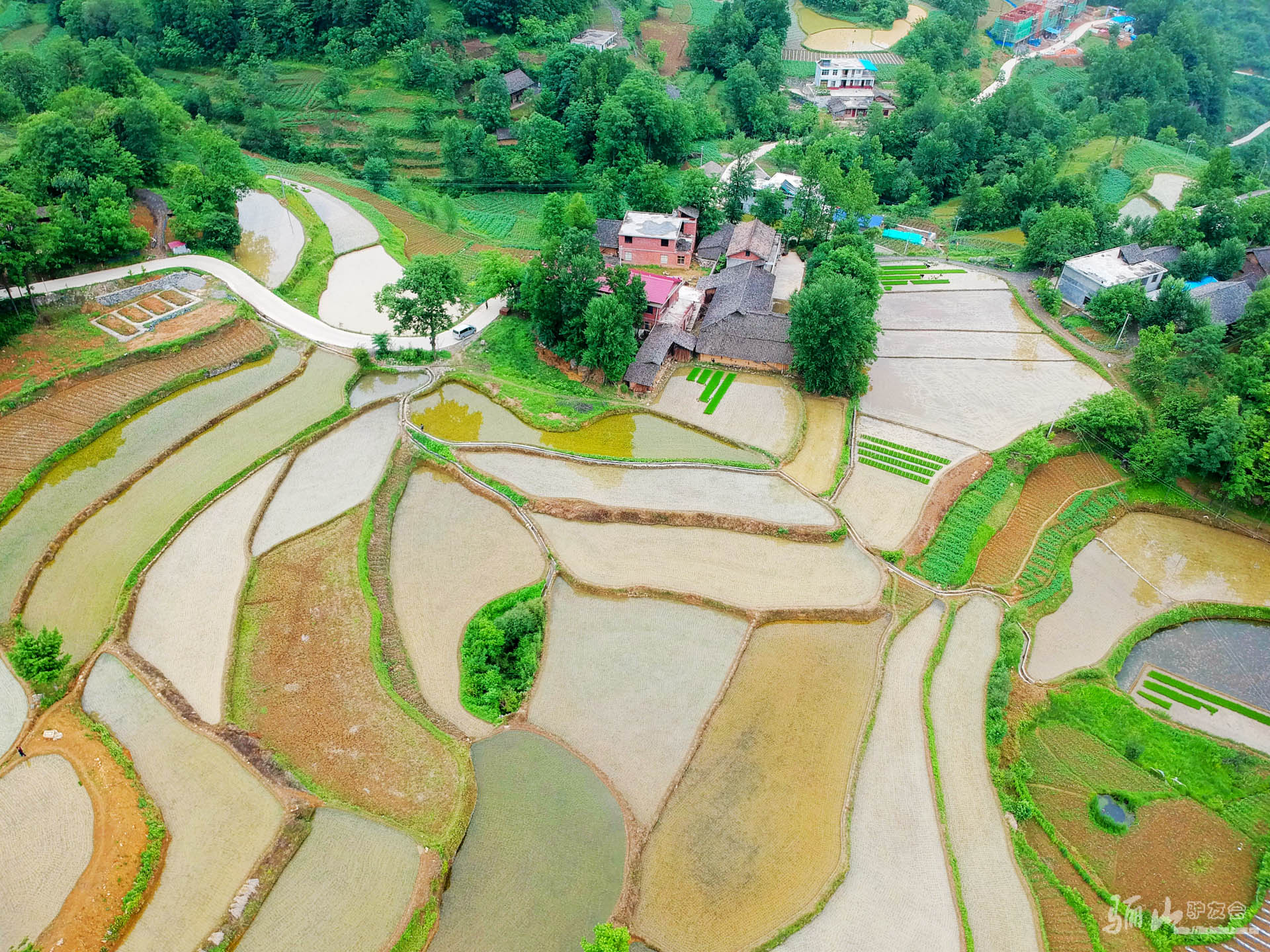 DJI_0356.jpg