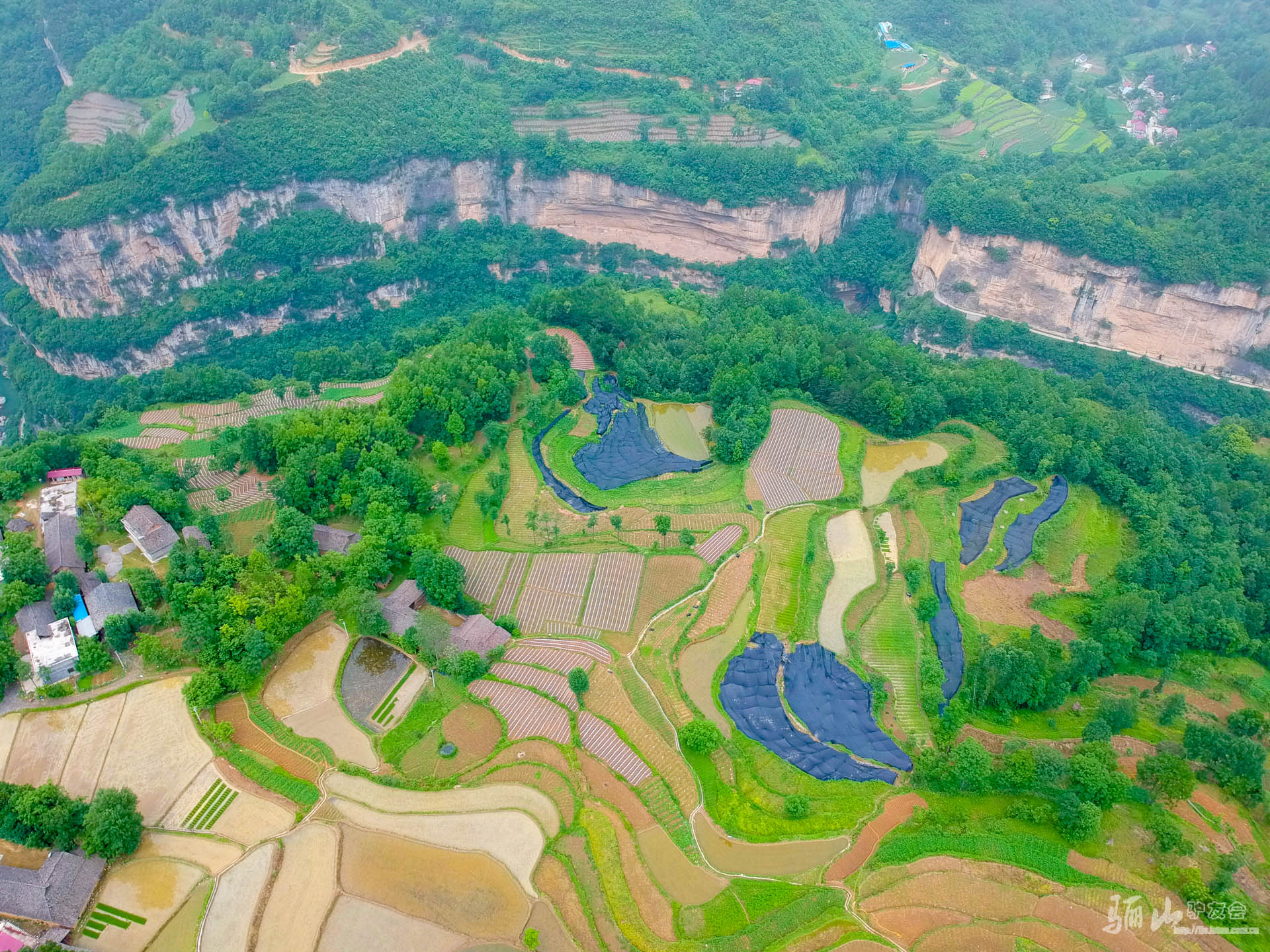 DJI_0364 - 副本.jpg