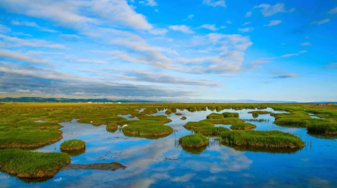 《沼泽小景》 韩宇炎 摄.jpg 《沼泽小景》 韩宇炎 摄.jpg